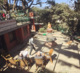 Swayambhunath Temple - newspaper reading